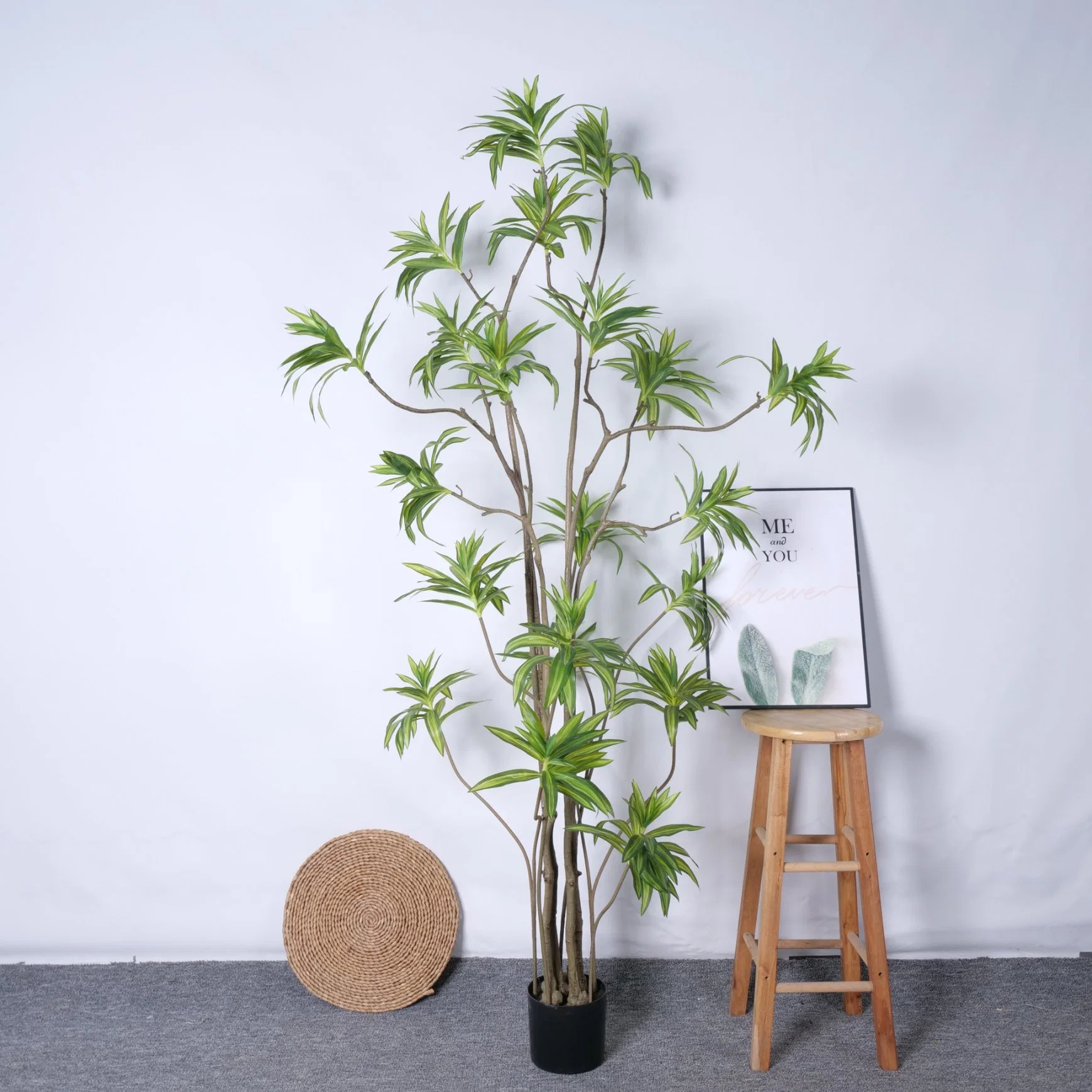 Wholesale/Supplier Potted Hotel Home Garden Decorative Plants Lily Bamboo