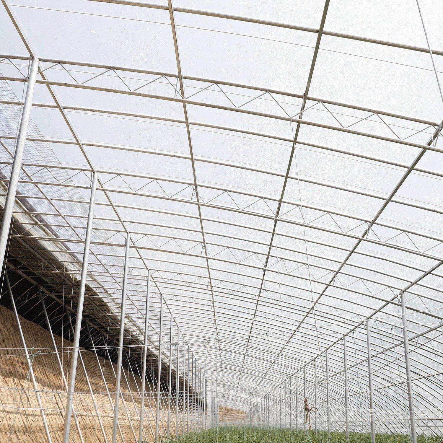 Prefabricated Solar Greenhouse with Automatic Control Equipment for Modern Agriculture