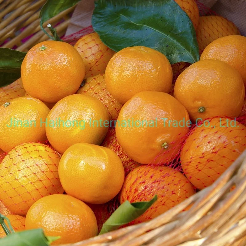 Regular Supplier for Fresh Mandarin Orange in China