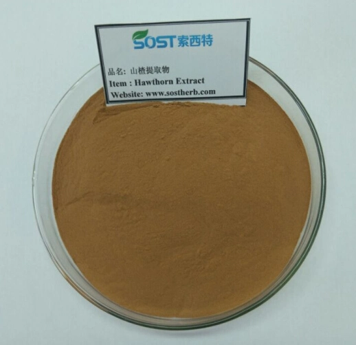 High quality/High cost performance Chinese EU Organic Hawthorn Powder