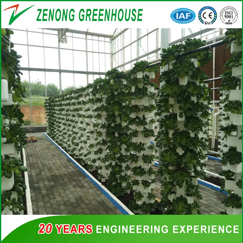 Agriculture Venlo Type PC Greenhouse for Exhibition/Eco Restaurant/Experiment