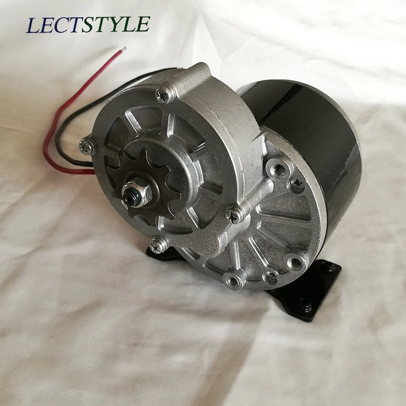 24V 250W Segway Electric Bicycle Gear Motor on Scooter