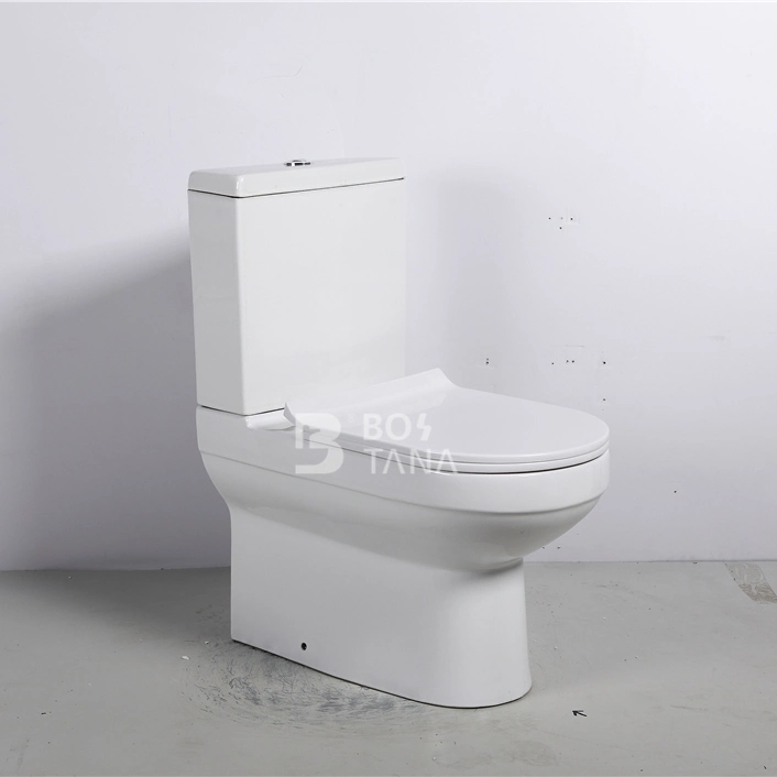 Diseño Europeo Washdown Sanitary Ware barato P-Trap dos piezas de inodoro