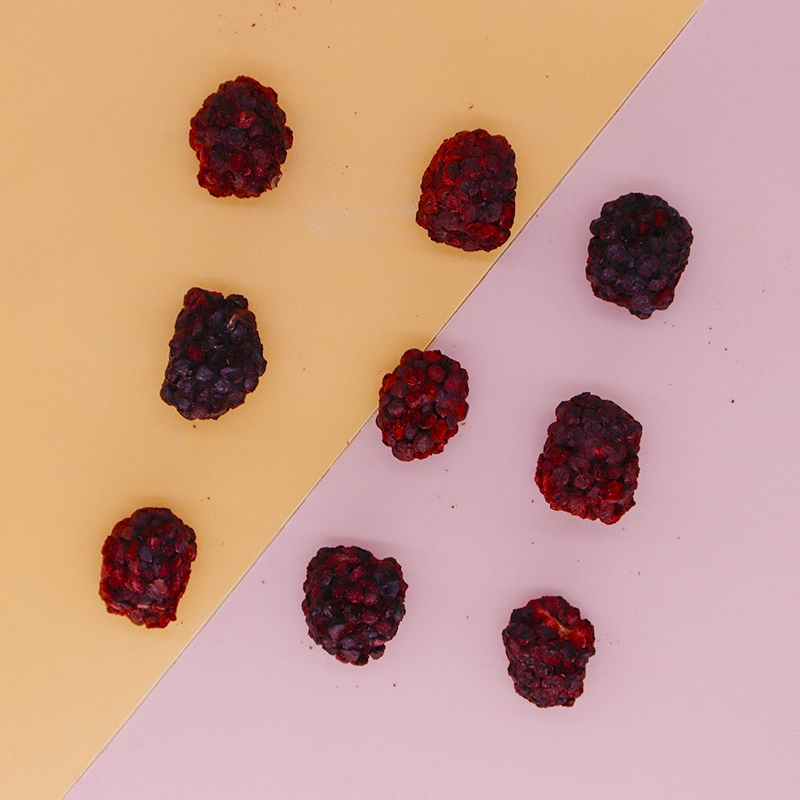 Ttn Wholesale/Supplier Market Dried Blackberry