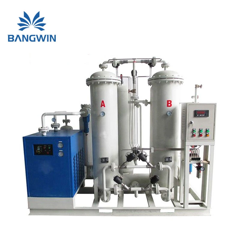 Air Separation Psa Nitrogen Generator with CE and ISO Certificate