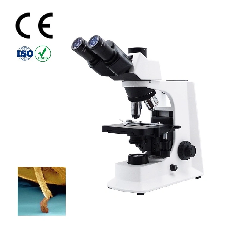 Microscopio Biológico trinocular con Plan 100X/1,25 (S, aceite) . W. D. =0,12mm Focus ajustable