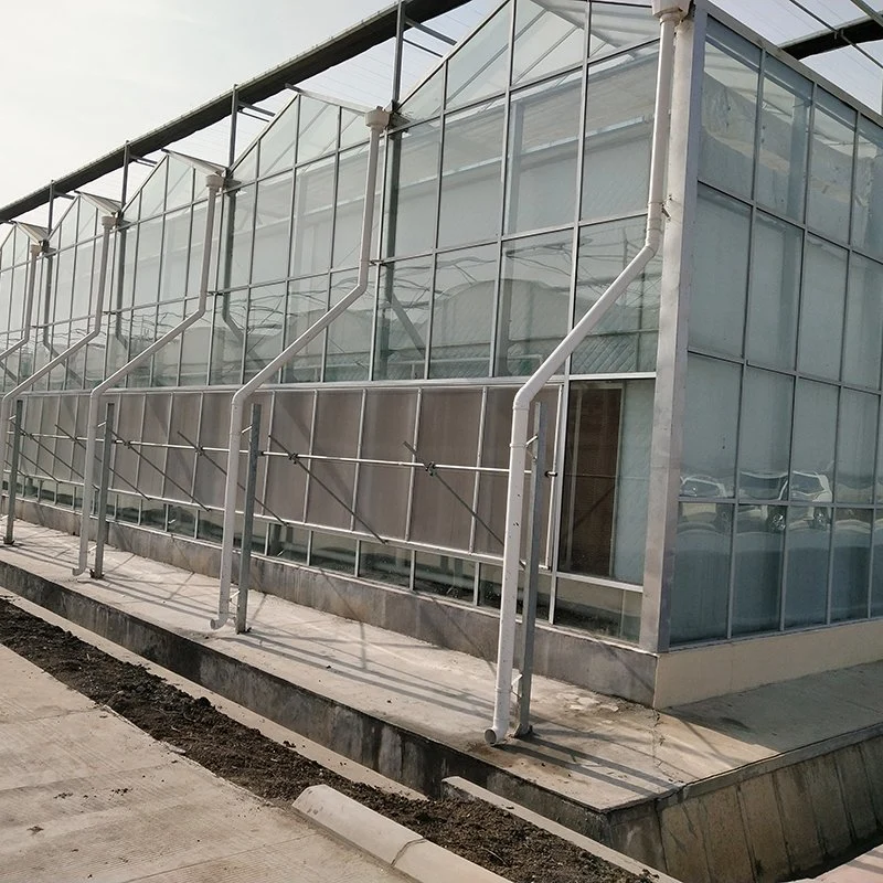 Customized Glass Structure Greenhouse From Chinese Suppliers