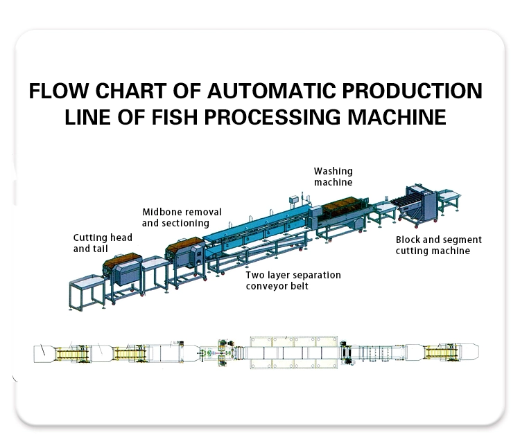 Sardine Catfish Red Snapper Tuna Salmon Cod Tilapia Automatic Fish Meat Bone Separator Machine Fish Debone Machine Shrimp