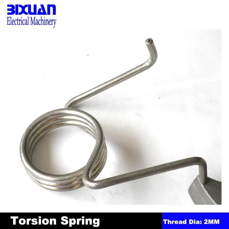 Spring Clip Special Spring / Wire Forming Clip Spring