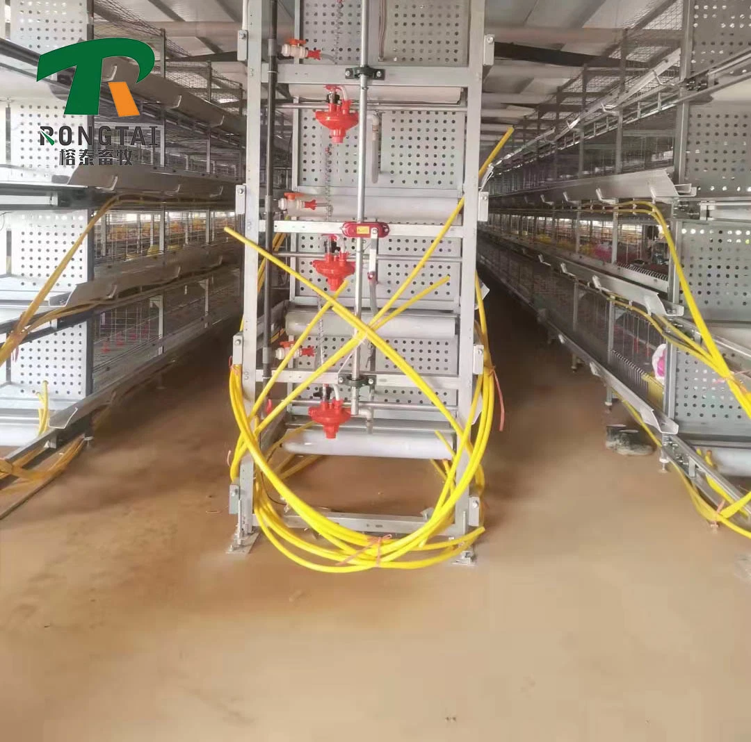 Guter Preis Automatische Geflügel Farm Ausrüstung Schicht Legen Hühner Huhn Batterieträger zum Verkauf