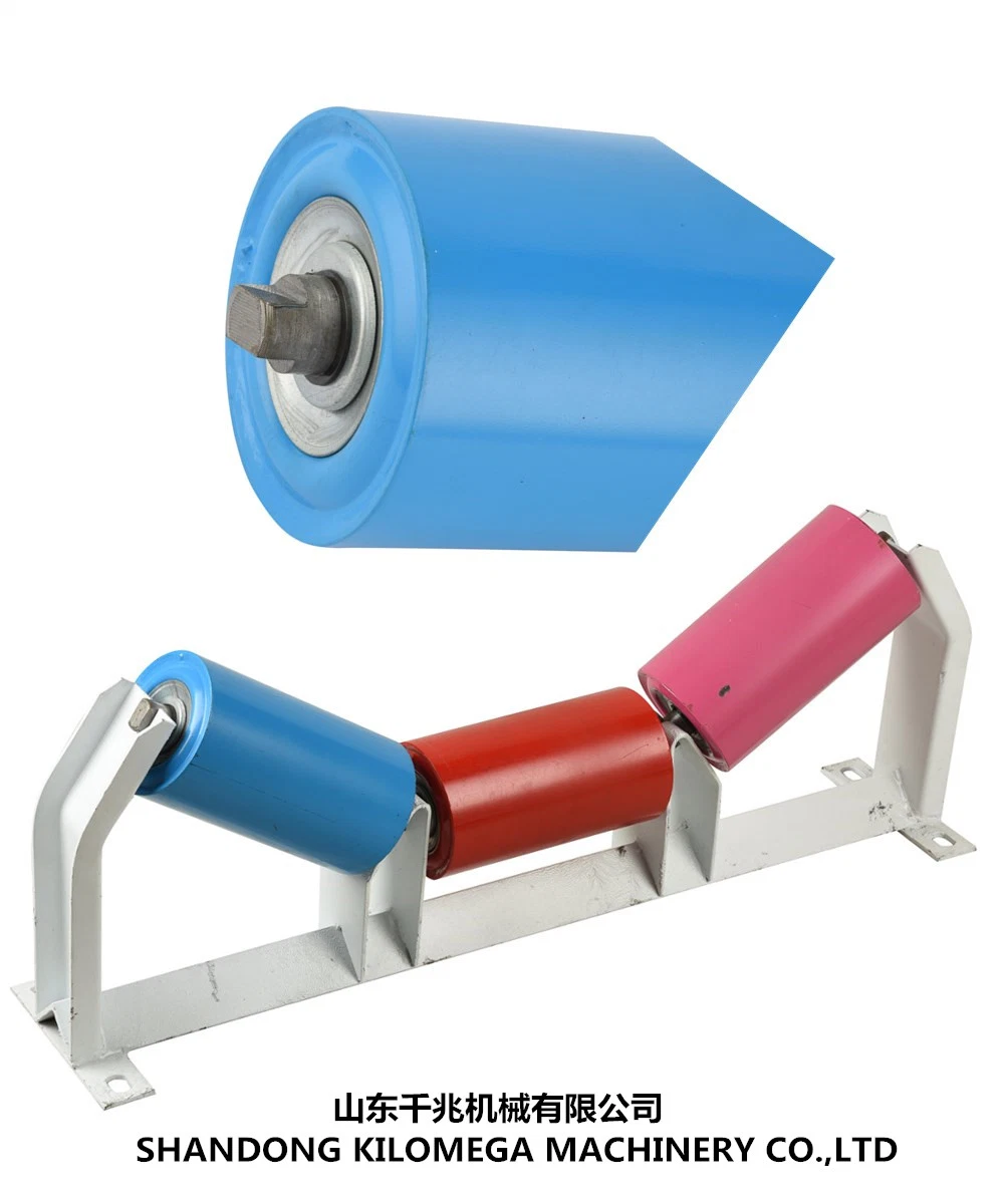 Professional Roller for Sale (89MMX750MM)