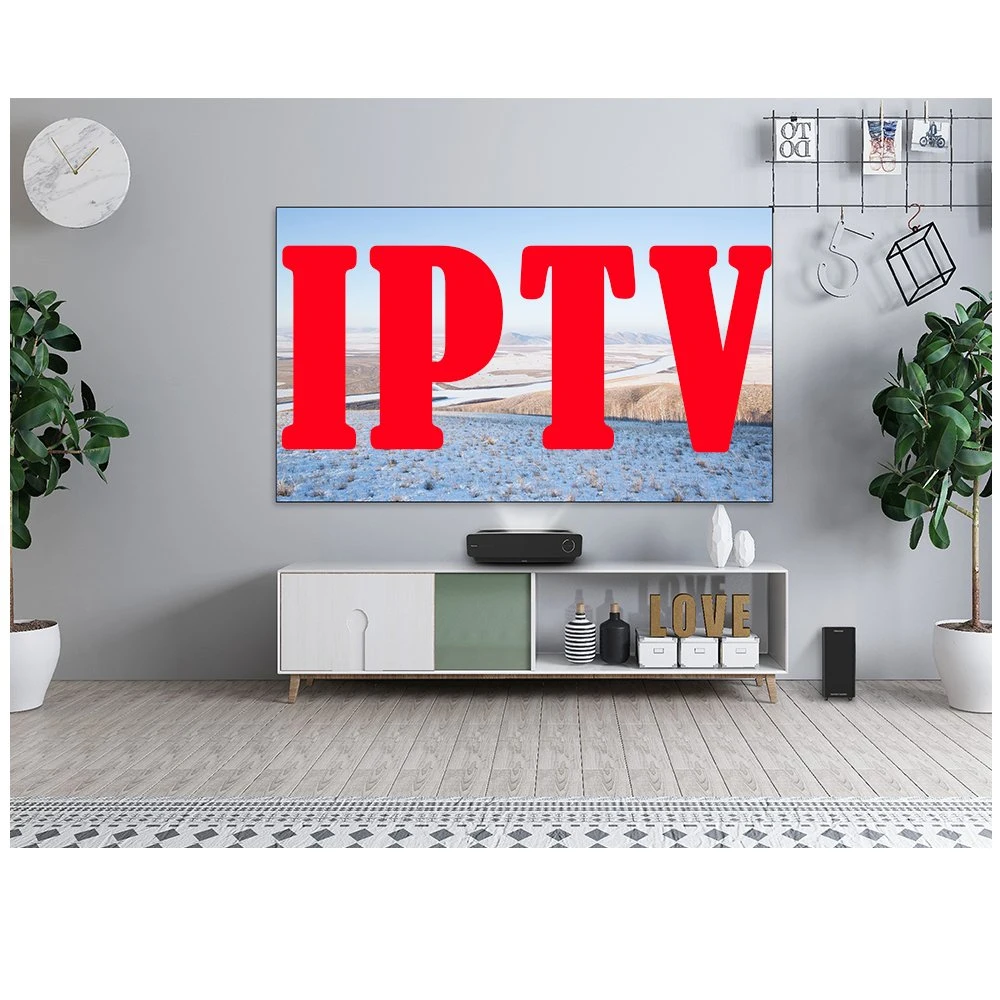 Free Test Netherlands IPTV Subsription with Belgium Germany Swiss Italy Turkey USA Canada UK for Smart TV M3u Android TV Box IPTV Panel