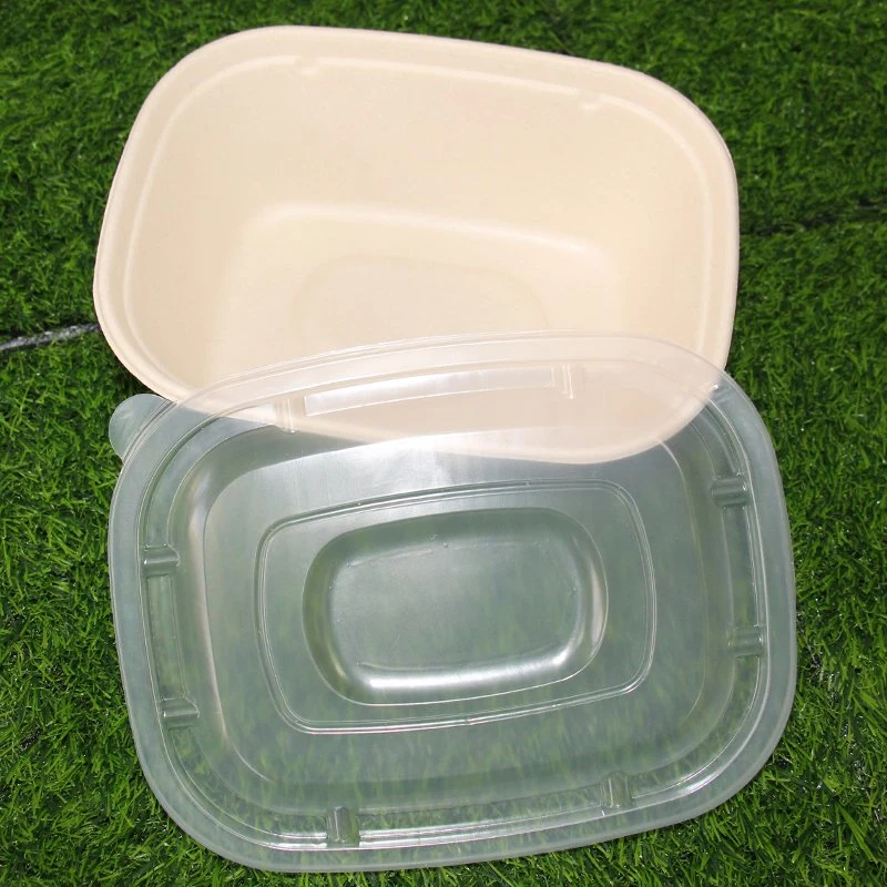 24oz 32oz 42oz Compostable Bio Oval Rectangle Salad Bagasse Food Box Manufacturing Process Takeaway Packaging Bowl with Clear Lid