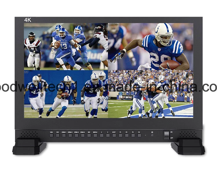 Factory Direct Supply Professtional Broadcasting 17.3" Monitor 4K HDMI Input