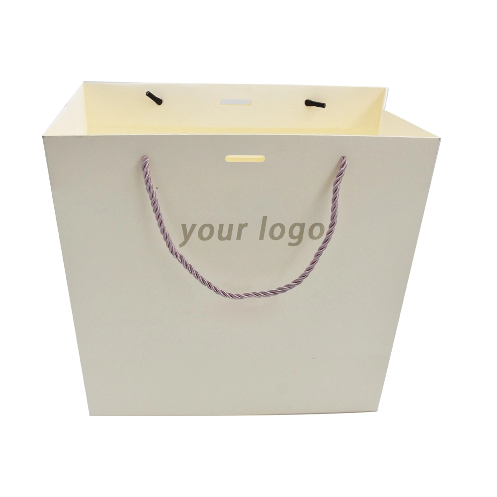 Customised Cardboard Packaging Brand Cheap Gift Paper Bag