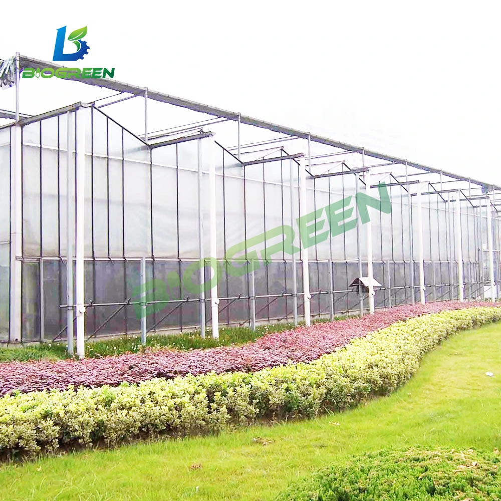 China Supplier Cheap Price Tunnel Greenhouse