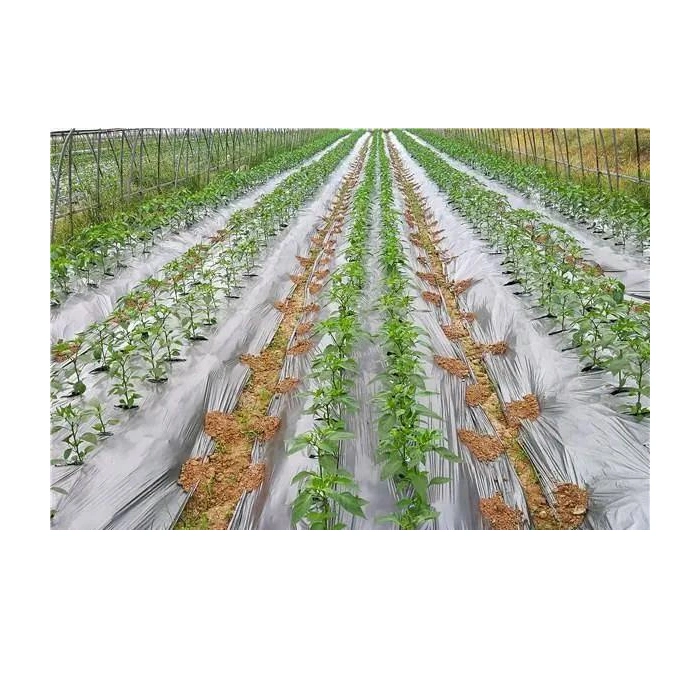 Biodegradable Pbs Pbat PLA Modified Materials Agriculture Mulching Plastic Film Best Eco Friendly