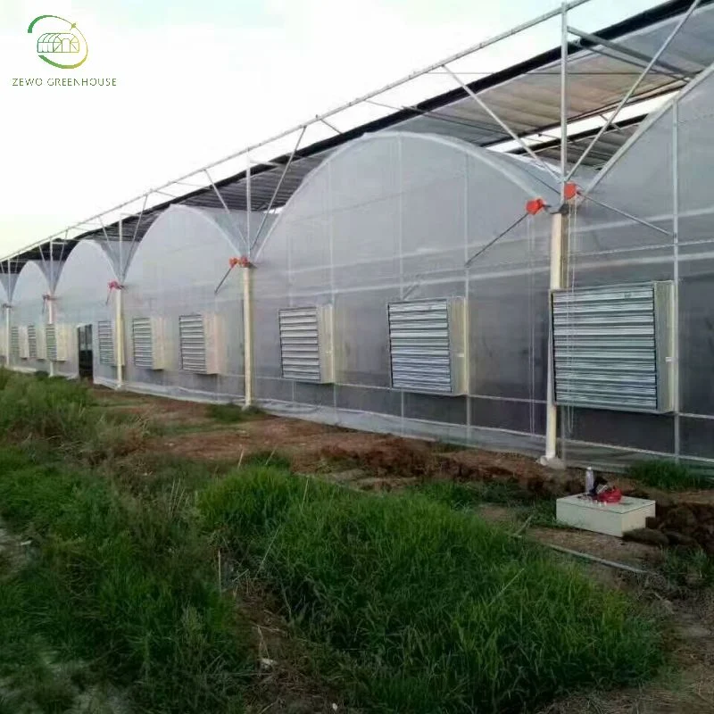 Rendimiento de alta calidad/alto costo Agricultura moderna Hot-DIP sistema de desnivel de esqueleto de acero galvanizado Para la venta