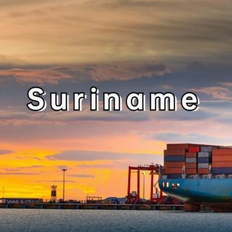 China to Suriname Shipping Double-Qing Dedicated Line DDP Bulk Container Shipping