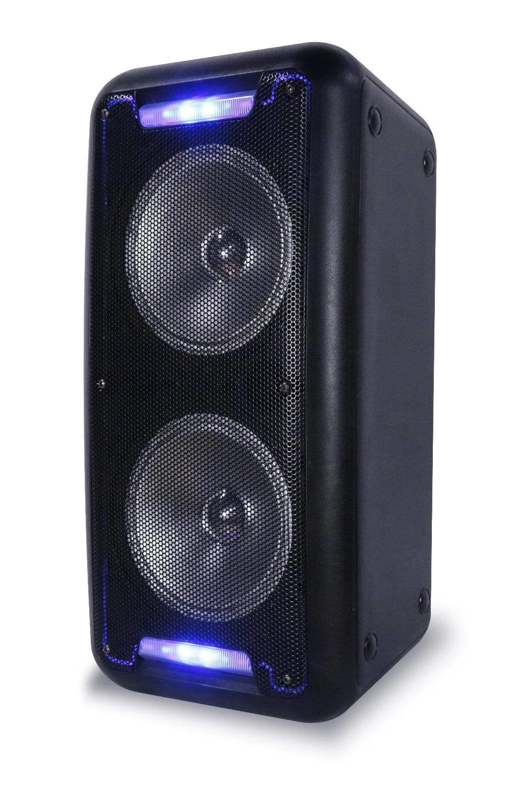 Double 12 Inch Portable Professional Powered DJ Karaoke FM Sound Box Bluetooth Trolley Speaker