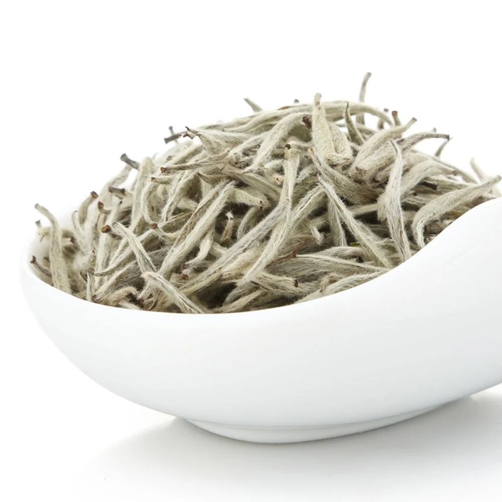 High Standard 40% Polyphenole White Tea Extract