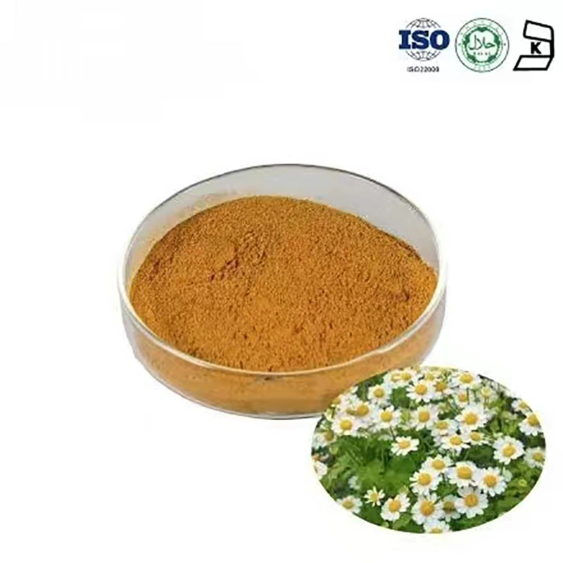 Natural Plant Extract Extract Ratio 6: 1 Herb Herbal Roman Chamomile Extract