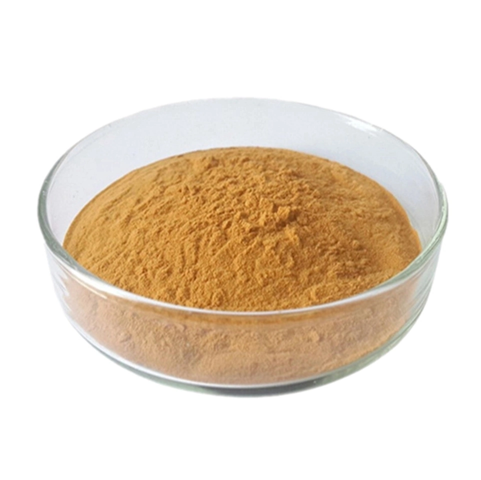 الصحة الغذاء النباتات العضوية المستخلصات المستخلصات ميتاك Mushroom Extract Powder In الأسهم