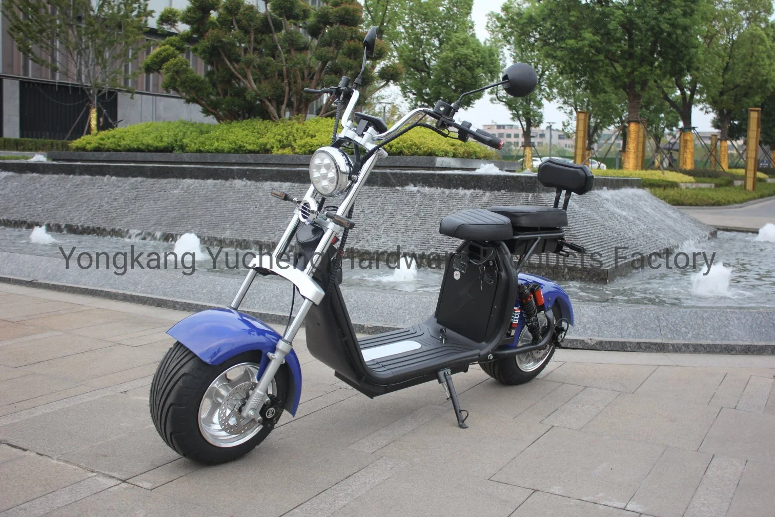 EEC / Coc elektrische Mobilität Fahrrad Scooter Folding Motor Elektro-Scooter