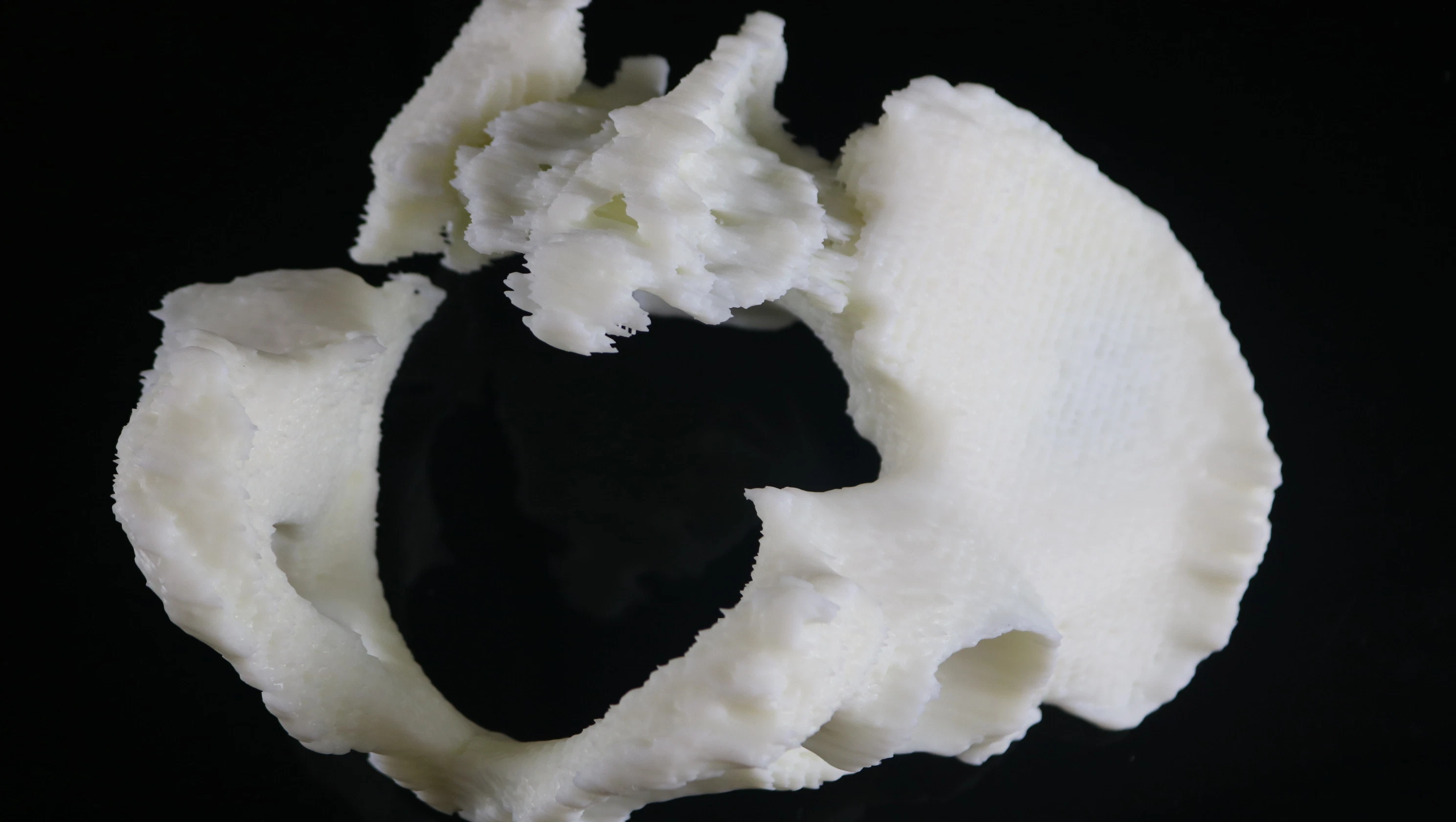 High quality/High cost performance  SLA Resin 3D Printing Service for Zygomatic Model