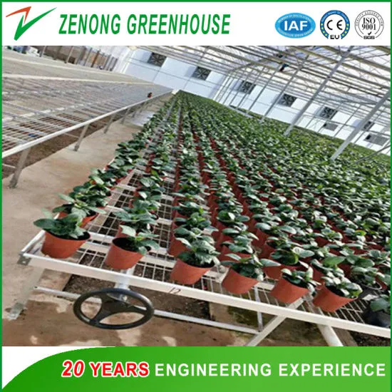 Easy to Operation Greenhouse Movable Seedling Bed for Grow Seedlings