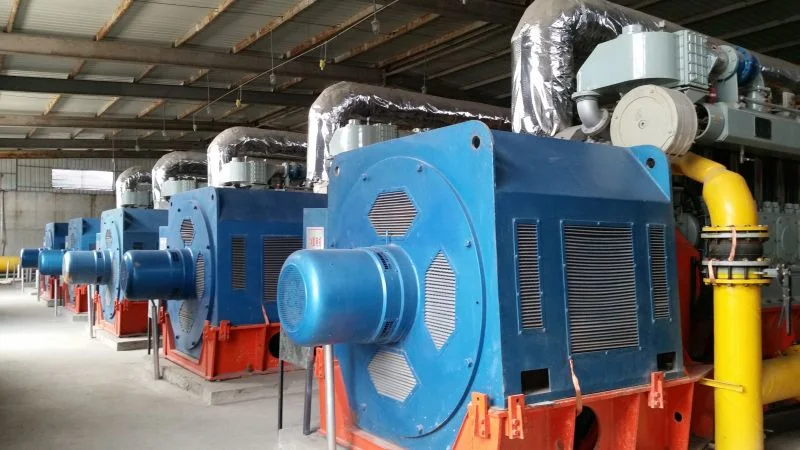 1000kw Wood Gasification Generator Set/Power Plant with CHP System