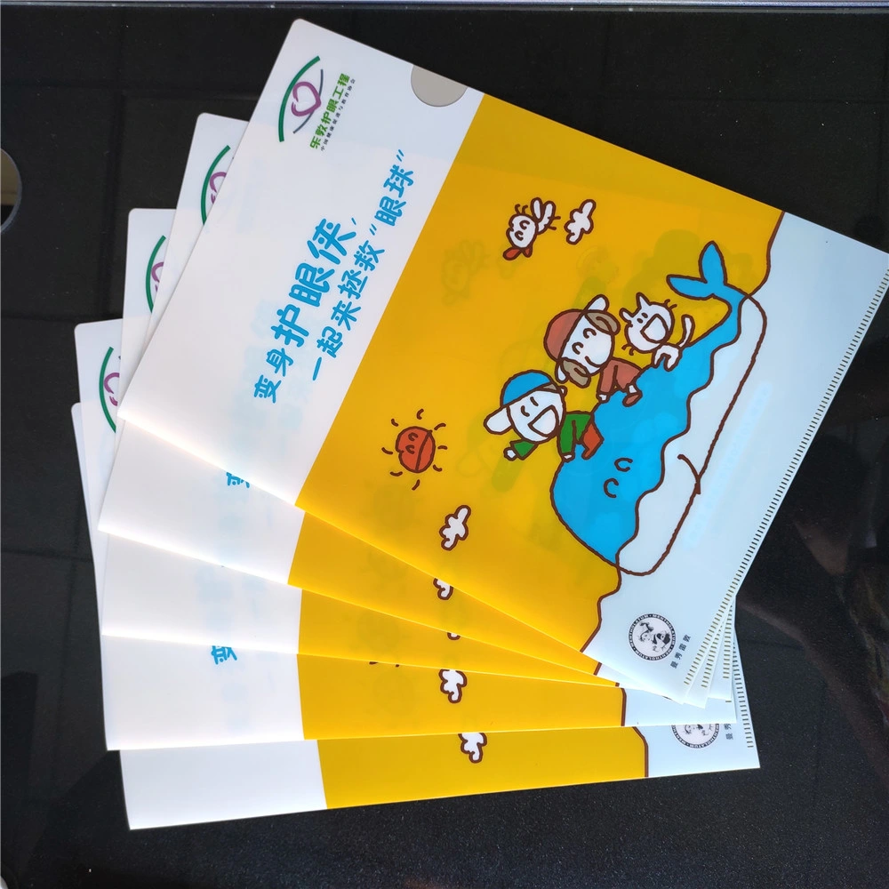 A4 PP printing files folder stationery products for students