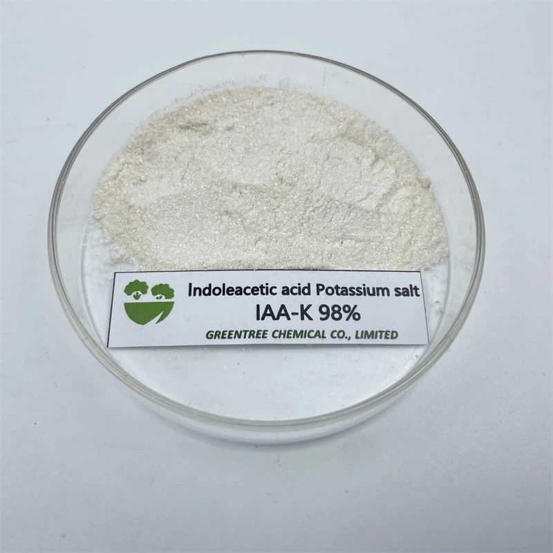 CAS 2338-19-4 Fábrica Regulador Auxin Ácido Indoleacetic Sal de potássio Iaa-K 98%