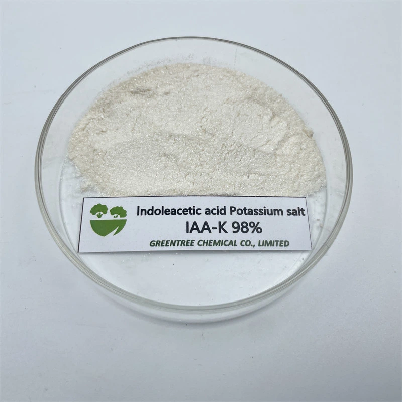 Cas 2338-19-4 régulateur AUXIN usine acide indolacétique sel de potassium IAA-K. 98 %