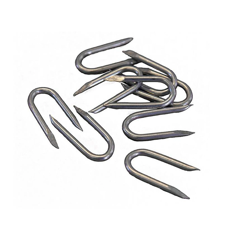 Prego ACO Galvanizado U Bwg9X25mm الجدار Staples