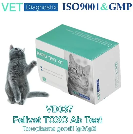 طقم Feline Toxo AB الطقم البيطري Tuxoplasma gondii IGG/IgM Antibody Rapid اختبار