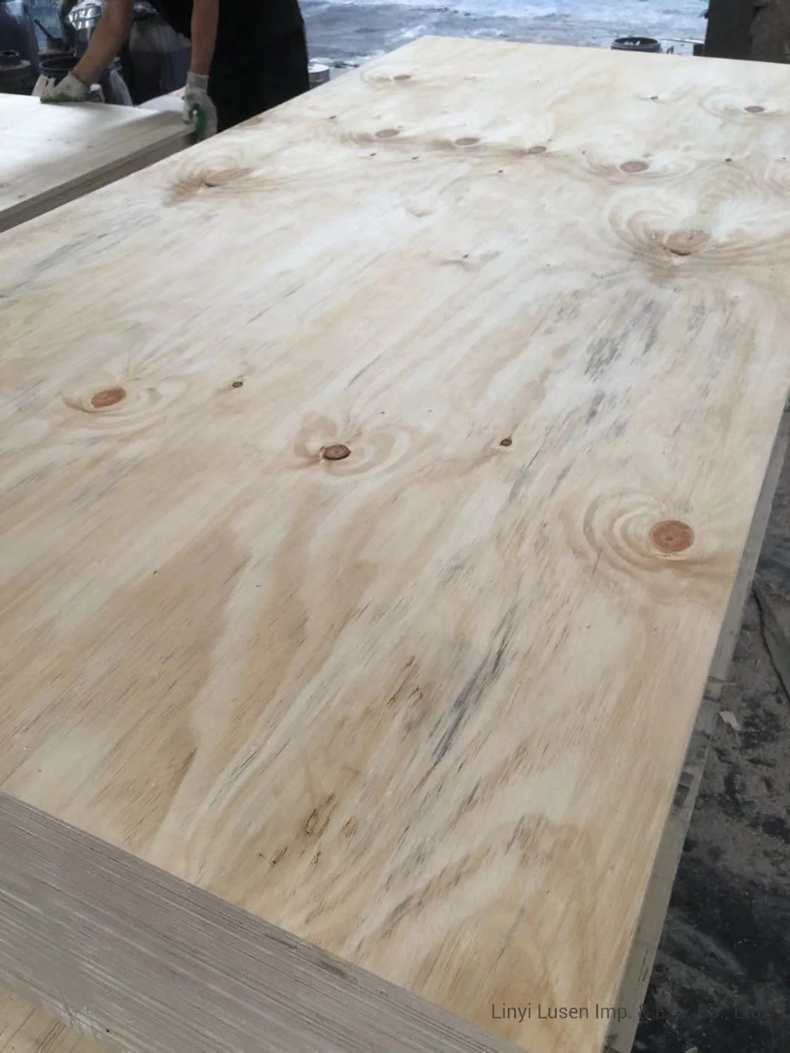 Waterproof Marine CDX Pine Plywood