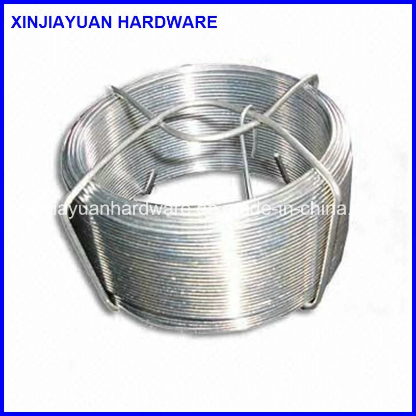 Decoration 0.1kg Galvanized Small Coil Wire for Market Retail