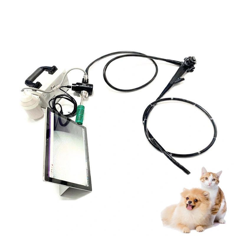 Vet Cheap USB Option Veterinary Gastro-Colonoscope System Price Flexible Video Gastroscope Colonoscope