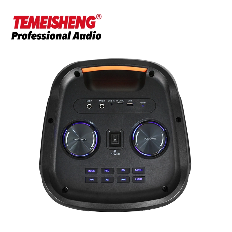 2022 Temeisheng 8 Inch Manufacture Factory of Newest Tws Portable Party Box Speaker