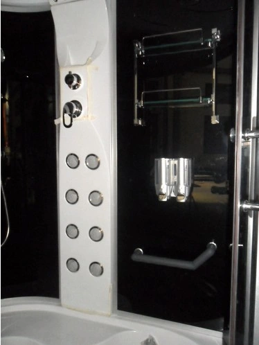 Luxurious Glass Computerized Bath Sauna Steam Shower Room (TL-8829)