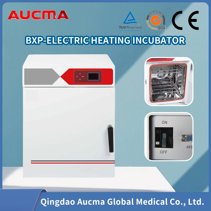 Incubadora de temperatura constante eléctrica Equipo de laboratorio de instrumentos de laboratorio de mejor venta Termostato