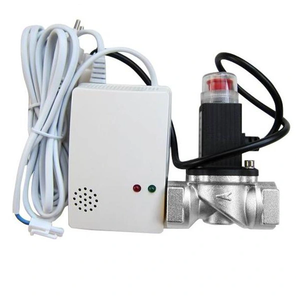 Domestic Natural Gas Detector Kit