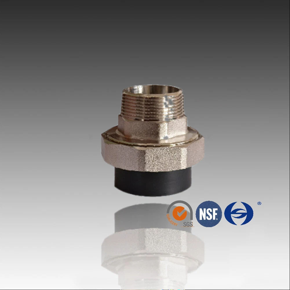 DIN Standard HDPE PE Brass Threaded Male Union Adaptor Coupling