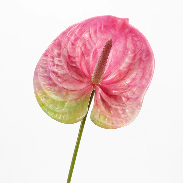 Flores verdes falsas Faux Anthurium em látex rosa para a sala de estar Decoração de casa