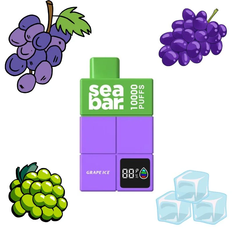 Seabar 10K Puffs 2/5%Nicotine Cigarette Wholesale/Supplier Cheap Disposable/Chargeable Vape