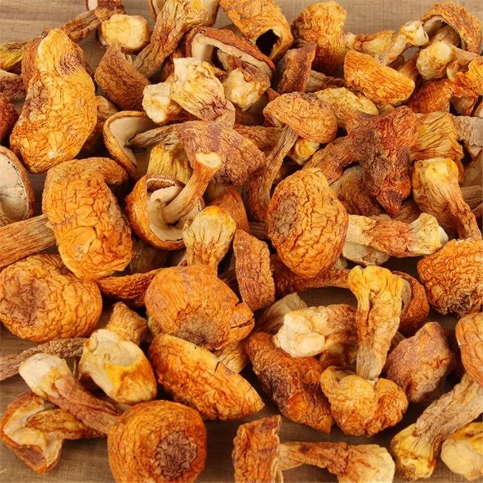 Ji Rong Canción 100% natural a base de hierbas secas Agaricus Blazei Murrill comida con buen gusto