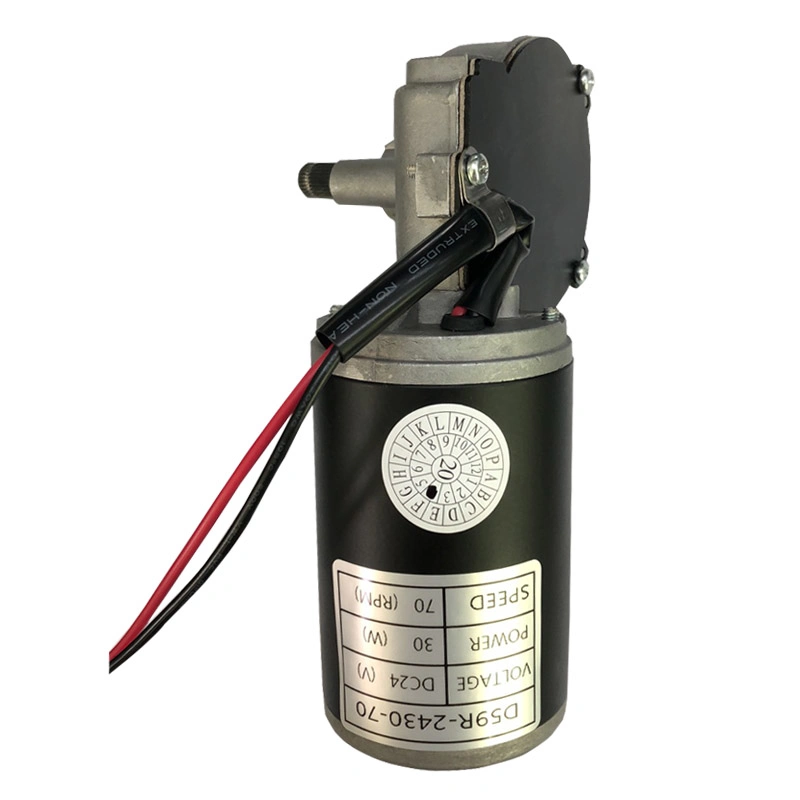 Permanent Magnet 24V 30W DC Gear Motor Low Speed Electric Adjustable Desk Worm Motor