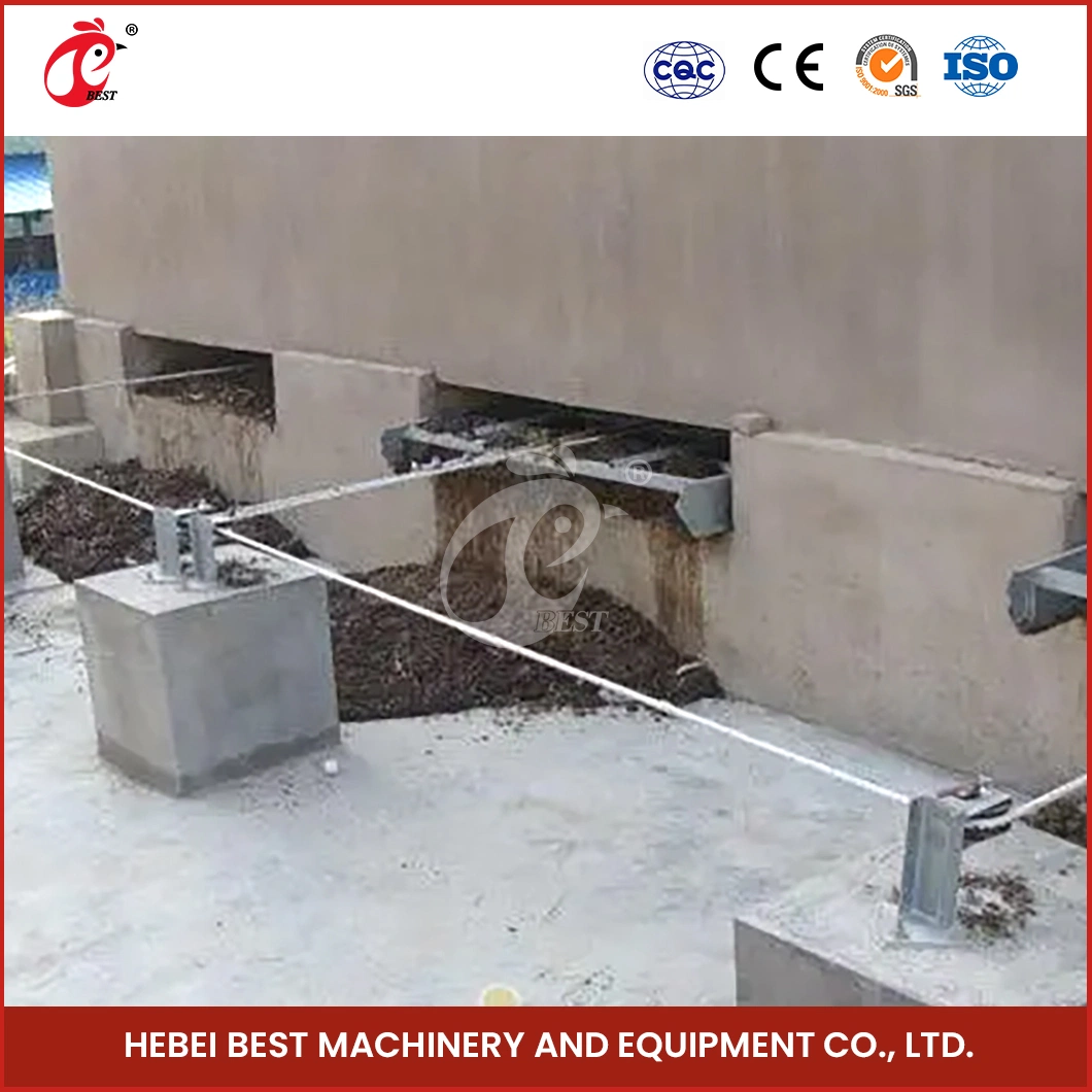 Bestchickencage China Scraper Type Chicken Manure Removal Equipment Manufacturer High-Quality PP Material Automatic Poultry Chicken Manure Removal System