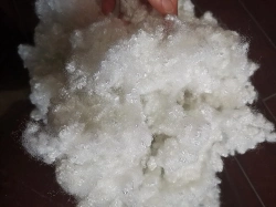 15D Silicon Addition of Polyester Staple Fiber